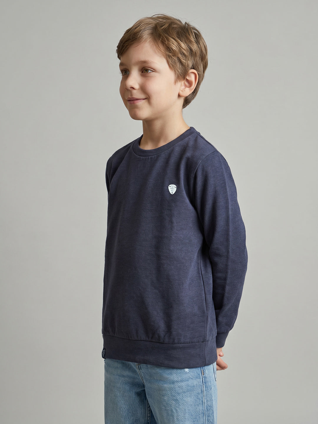 Boys Navy Blue Solid Round Neck Full Sleeve Sweatshirt