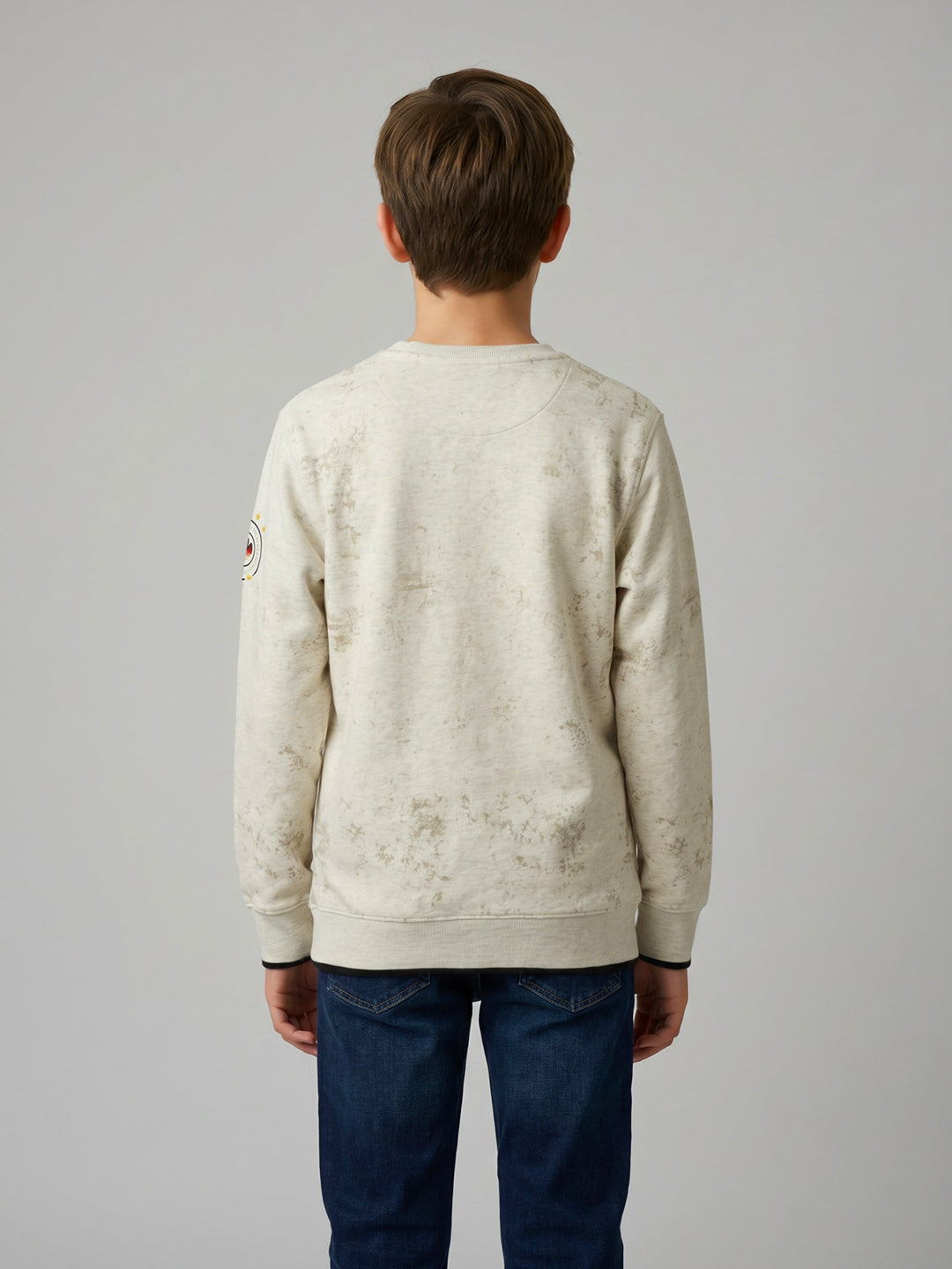 Boys Beige Printed Round Neck Full Sleeve Sweatshirt