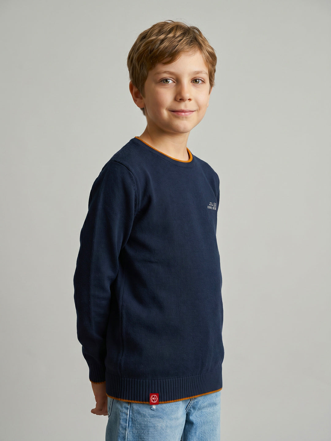 Boys Navy Blue Solid Round Neck Full Sleeve Pullover