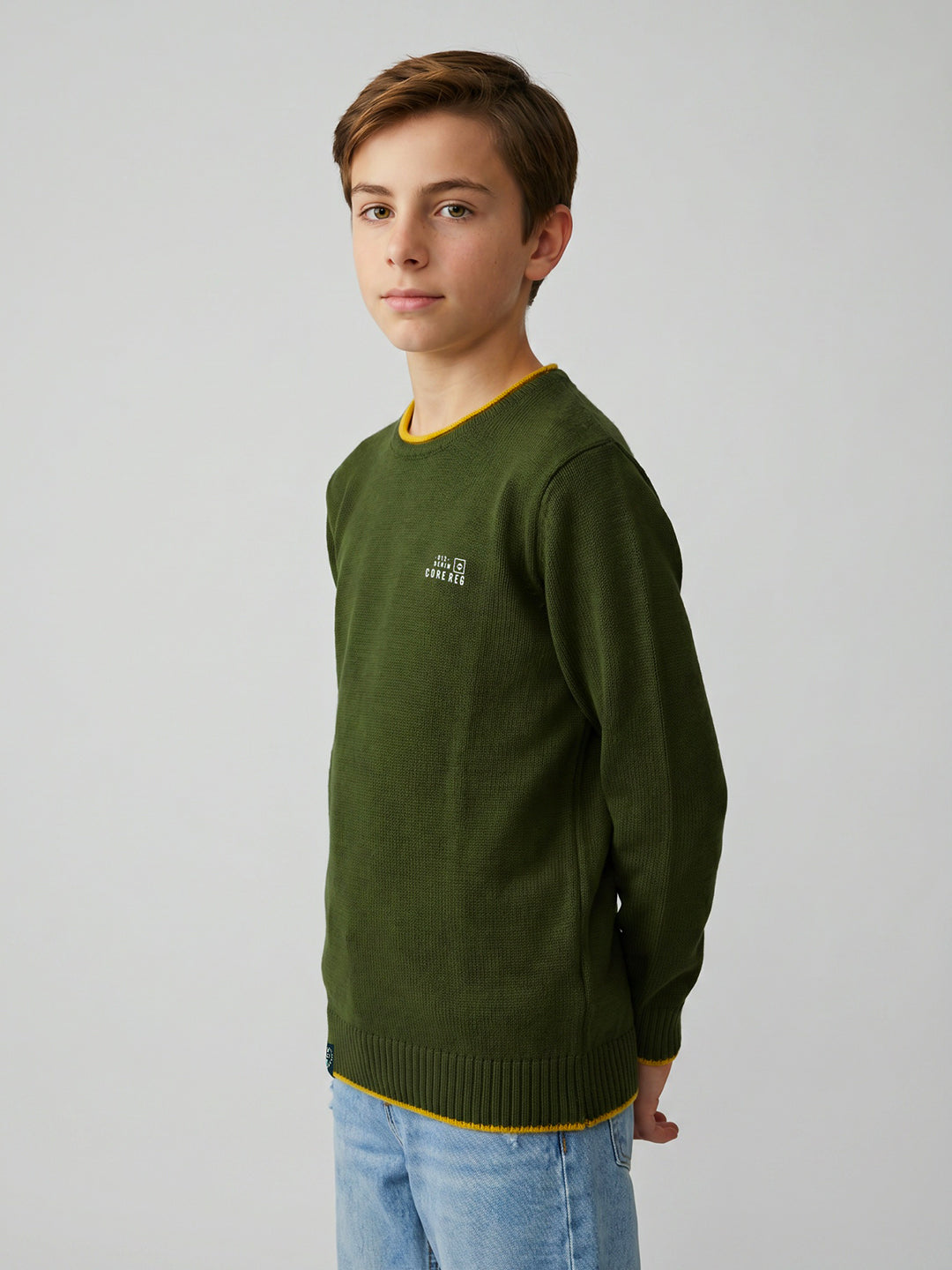 Boys Olive Solid Round Neck Full Sleeve Pullover