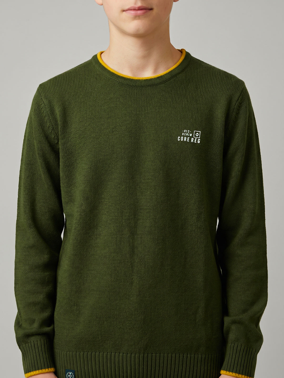 Boys Olive Solid Round Neck Full Sleeve Pullover