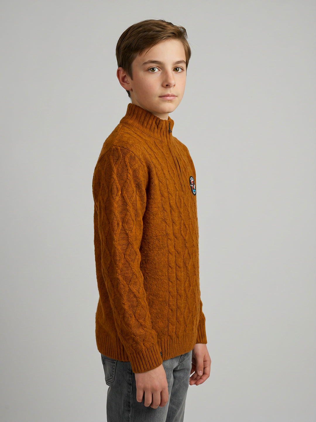 Boys Rust Self Design Round Neck Full Sleeve Pullover