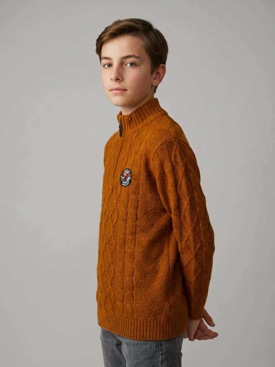 Boys Rust Self Design Round Neck Full Sleeve Pullover