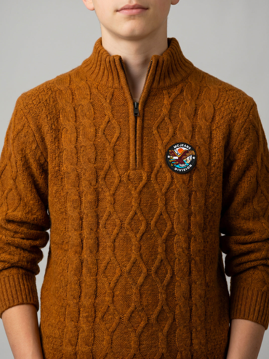 Boys Rust Self Design Round Neck Full Sleeve Pullover