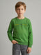 Boys Green Printed Round Neck Full Sleeve Sweatshirt