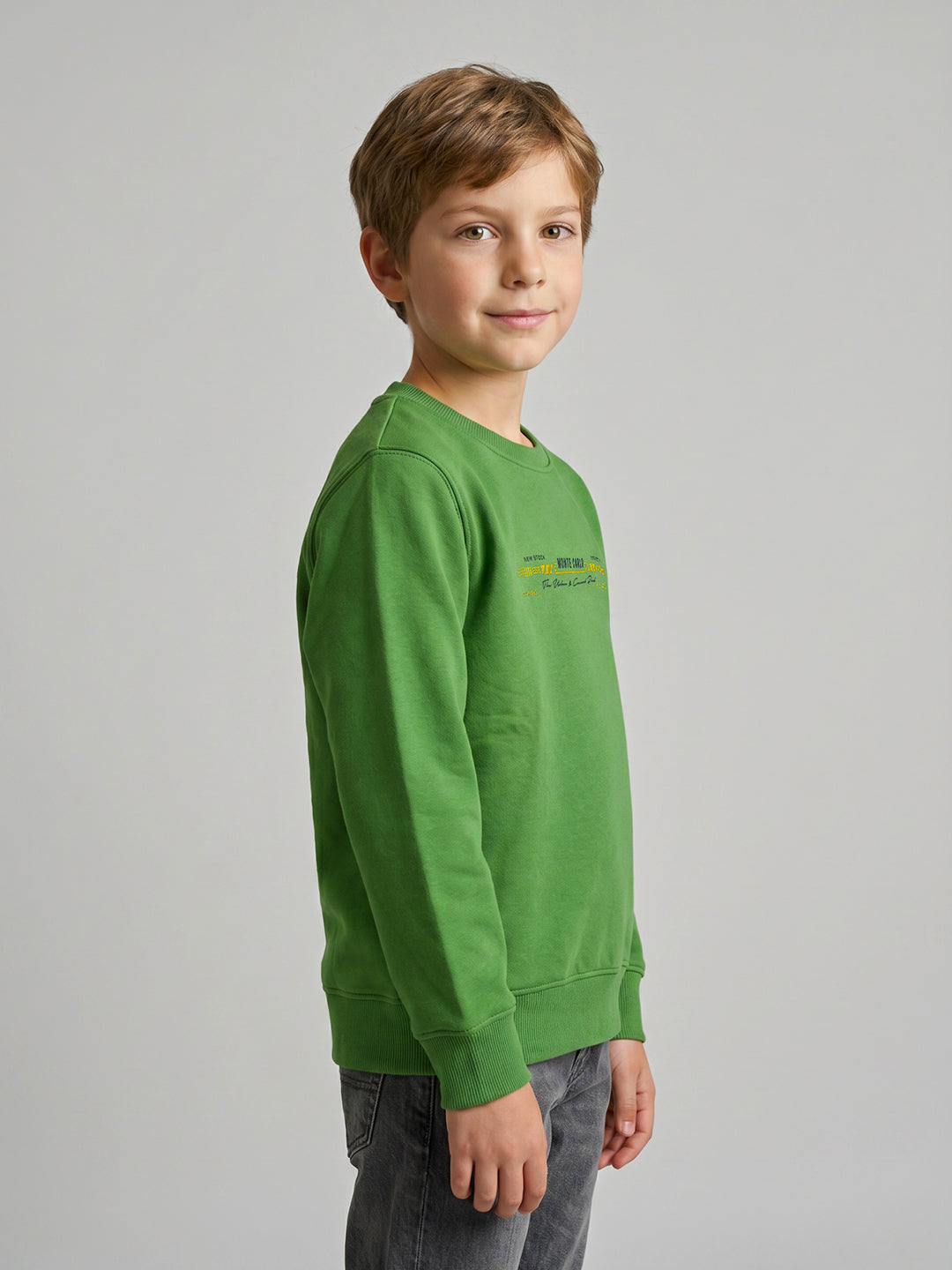 Boys Green Printed Round Neck Full Sleeve Sweatshirt