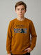 Boys Brown Printed Round Neck Full Sleeve Sweatshirt