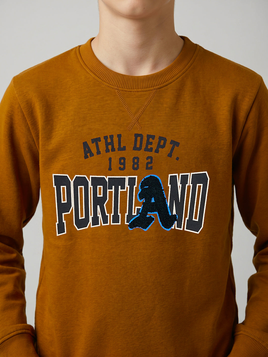 Boys Brown Printed Round Neck Full Sleeve Sweatshirt
