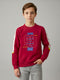 Boys Red Printed Round Neck Full Sleeve Sweatshirt