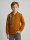 Boys Rust Printed Hooded Full Sleeve Sweatshirt