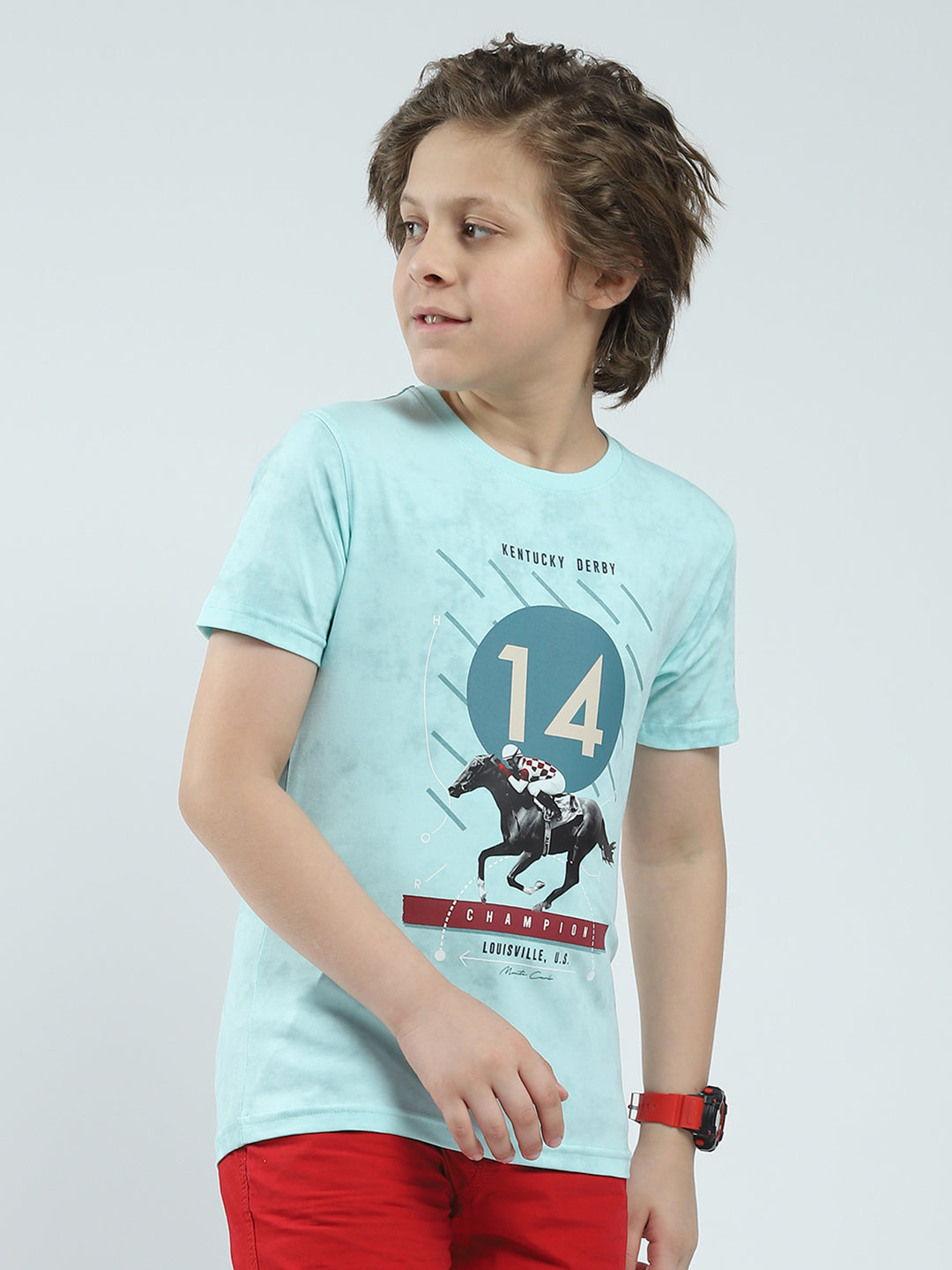 Boys Blue Printed Round Neck Half Sleeve T-Shirt