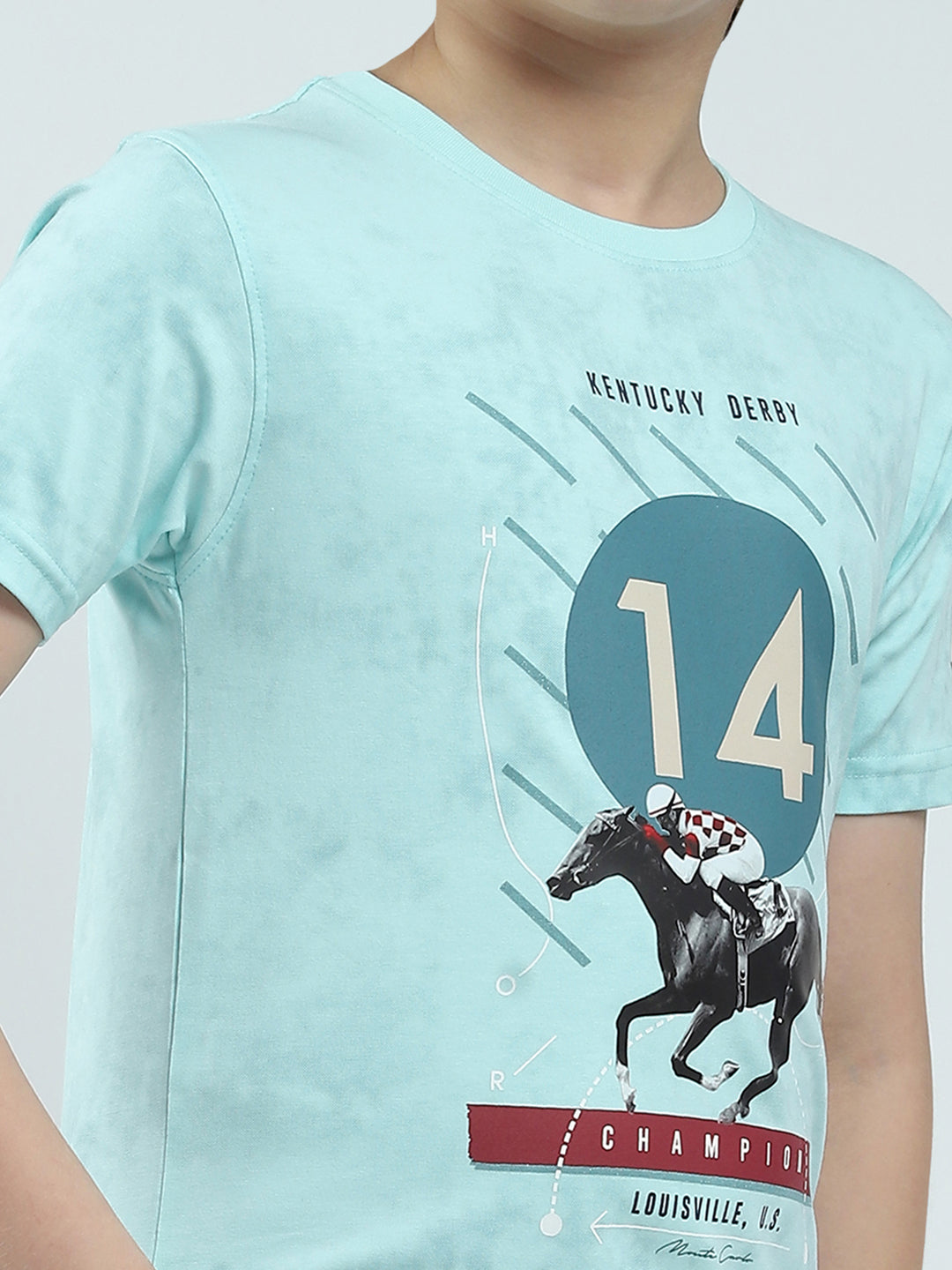 Boys Blue Printed Round Neck Half Sleeve T-Shirt