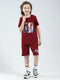 Boys Maroon Printed Round Neck Half Sleeve Bermuda Set