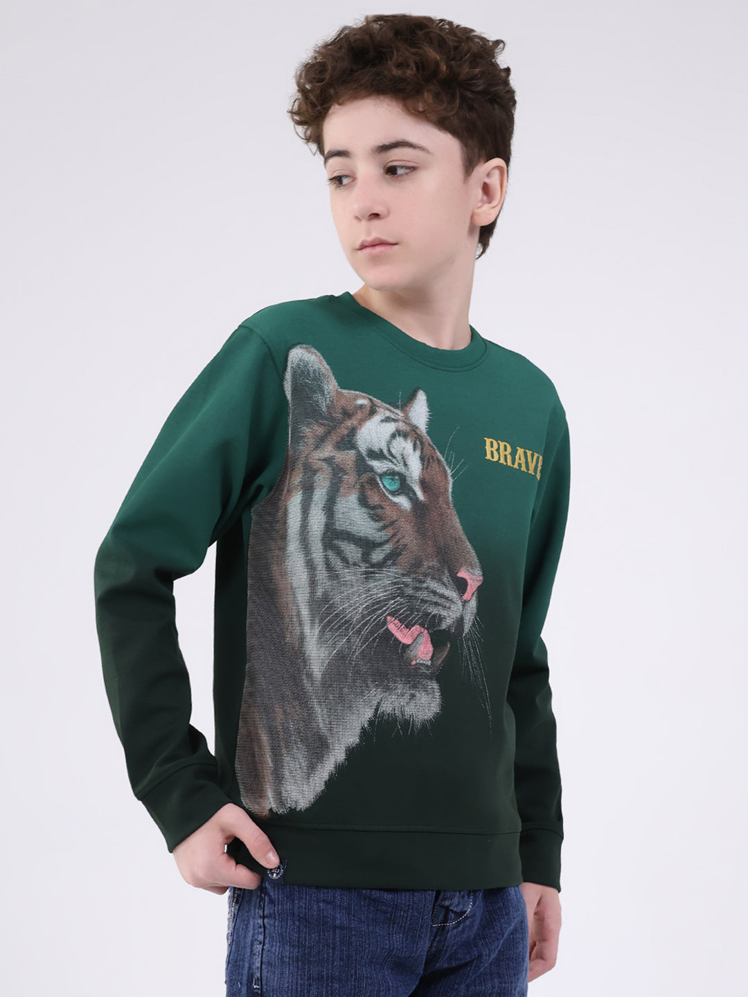 Boys Green Printed Round Neck Full Sleeve Sweatshirt