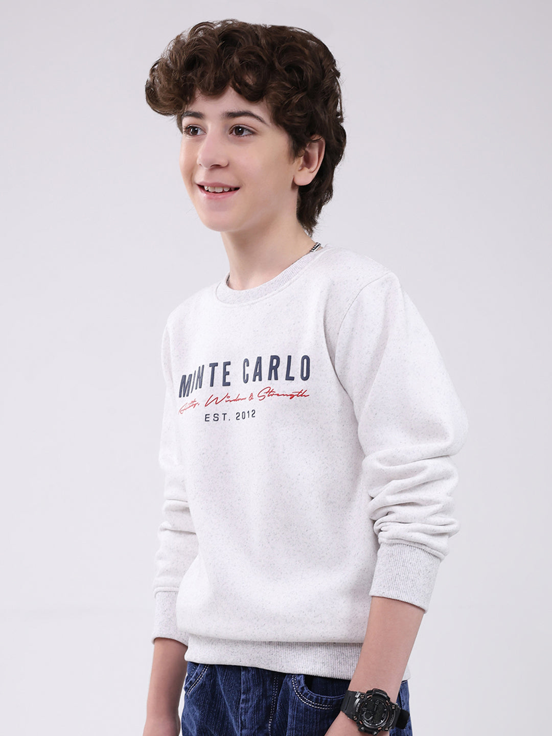 Boys Grey Printed Round Neck Full Sleeve Sweatshirt