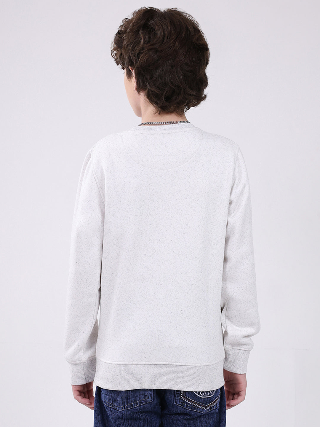 Boys Grey Printed Round Neck Full Sleeve Sweatshirt
