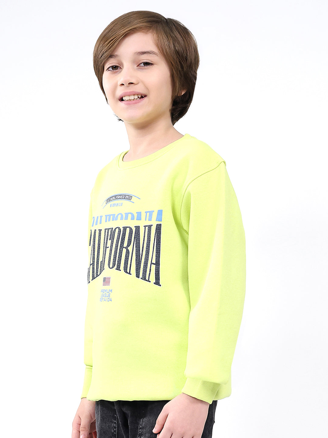 Boys Green Printed Round Neck Full Sleeve Sweatshirt