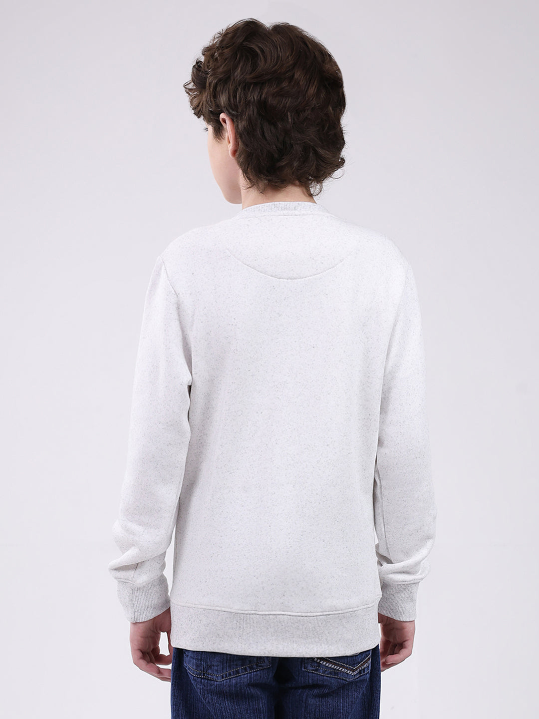 Boys Grey Printed Round Neck Full Sleeve Sweatshirt