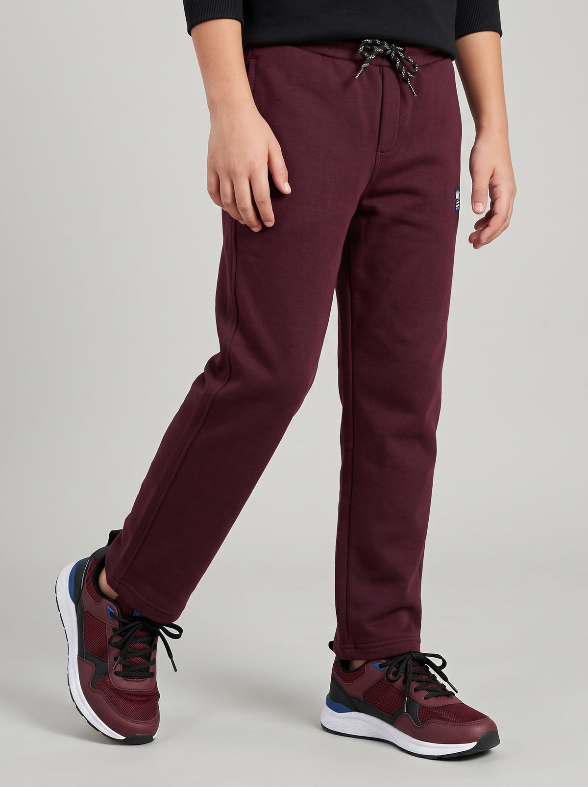 Boys Burgundy Solid Regular Fit Lower