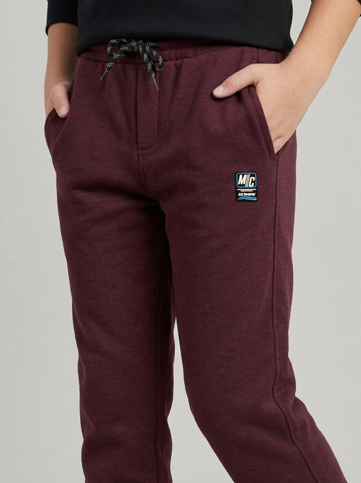 Boys Burgundy Solid Regular Fit Lower