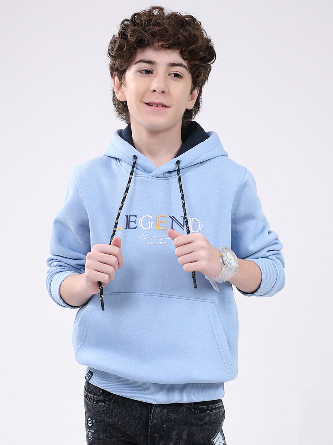 Boys Sky Blue Printed Hooded Full Sleeve Sweatshirt