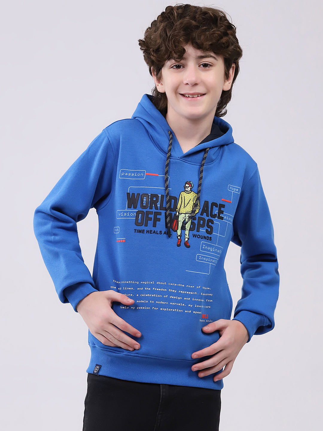 Boys Blue Printed Hooded Full Sleeve Sweatshirt