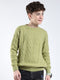 Boys Green Printed Round Neck Full Sleeve Pullover