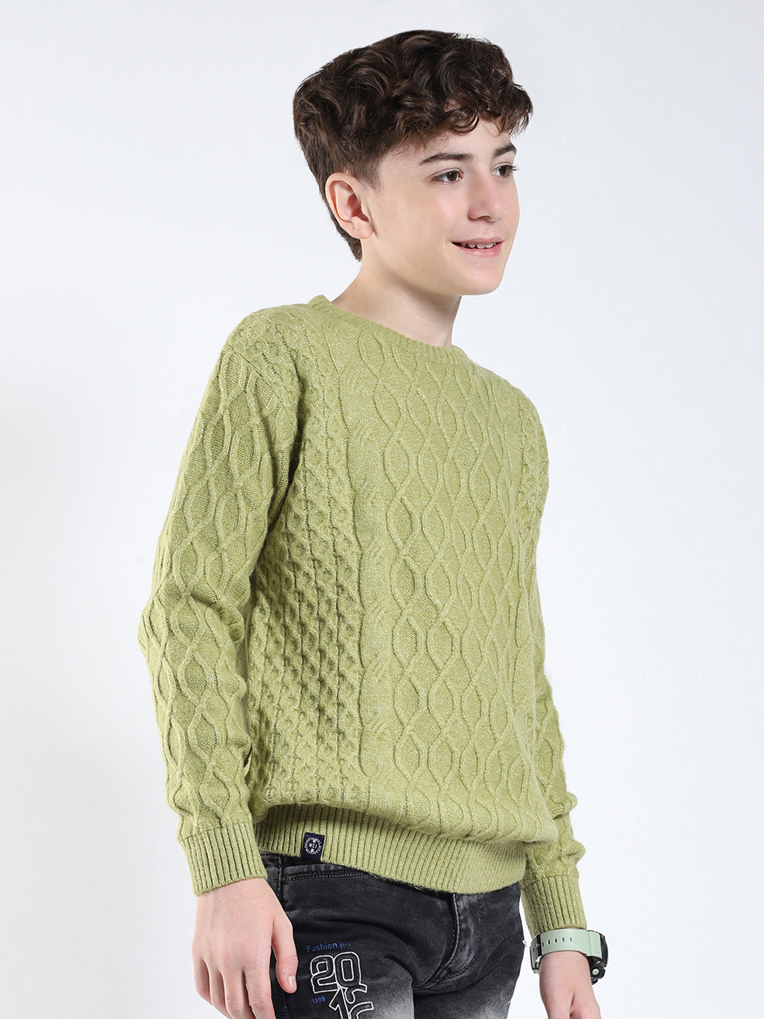 Boys Green Printed Round Neck Full Sleeve Pullover