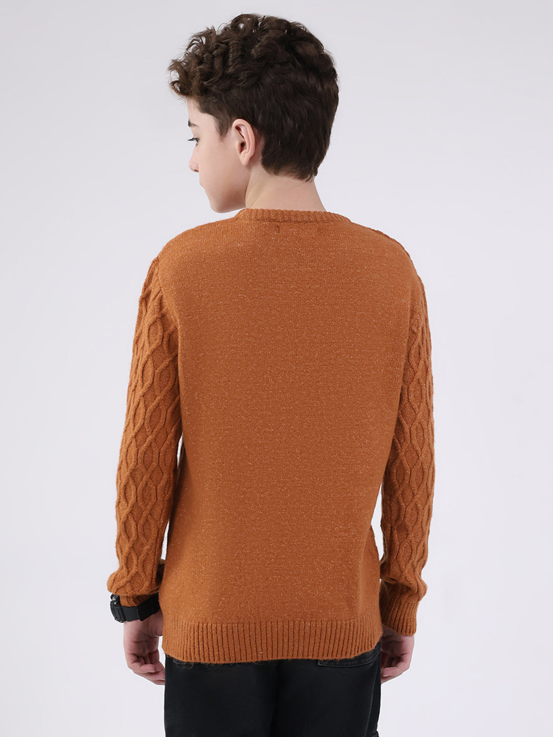 Boys Rust Self Design Round Neck Full Sleeve Pullover