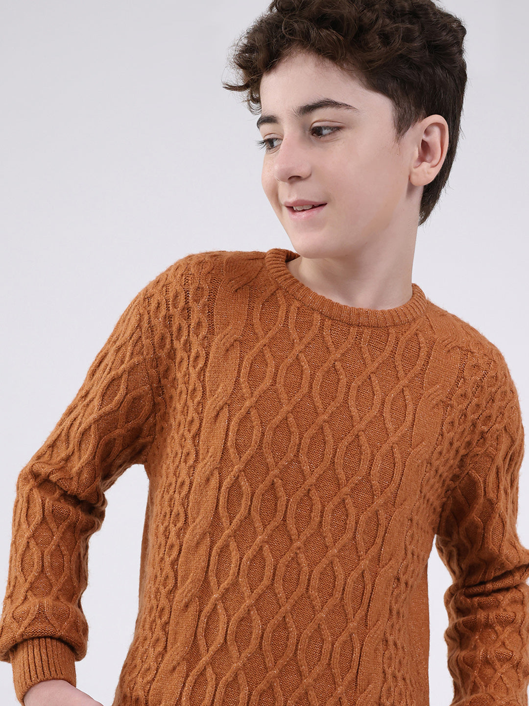 Boys Rust Self Design Round Neck Full Sleeve Pullover
