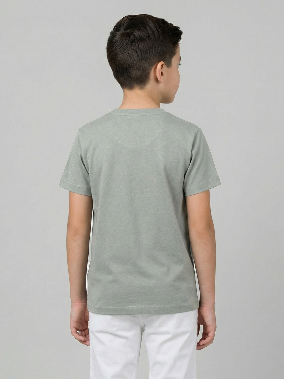 Boys Grey Printed Round Neck Half Sleeve T-Shirt