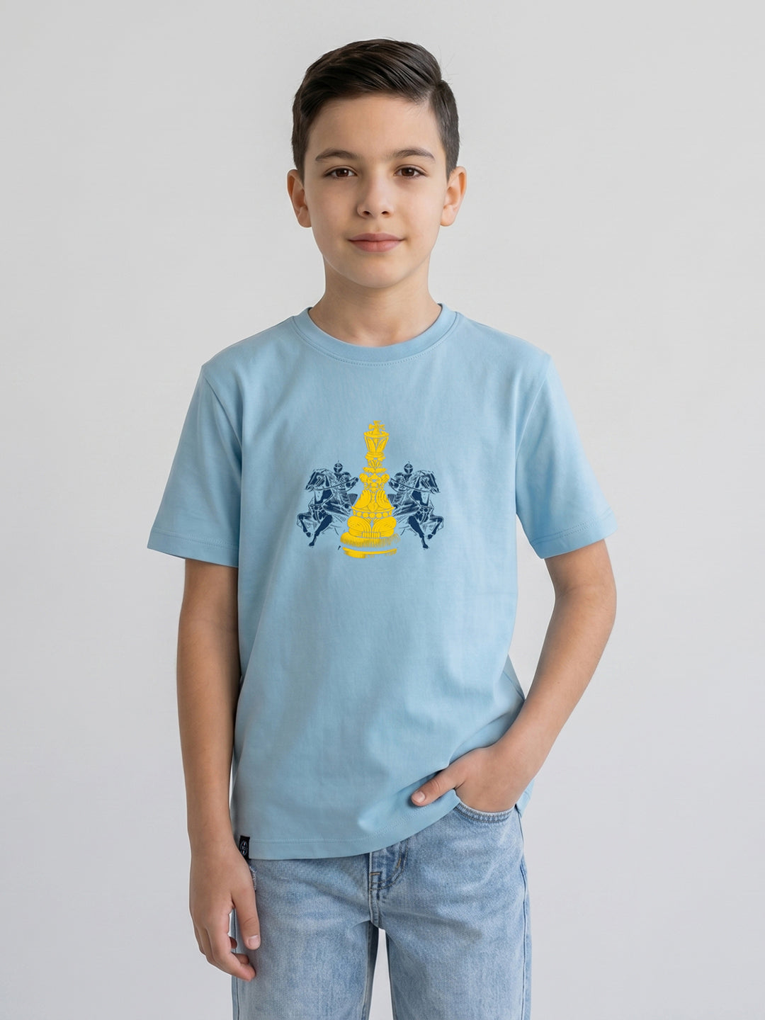 Boys Sky Blue Printed Round Neck Half Sleeve T-Shirt