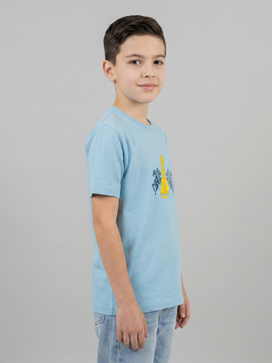 Boys Sky Blue Printed Round Neck Half Sleeve T-Shirt