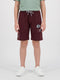 Boys Maroon Solid Regular Fit Shorts