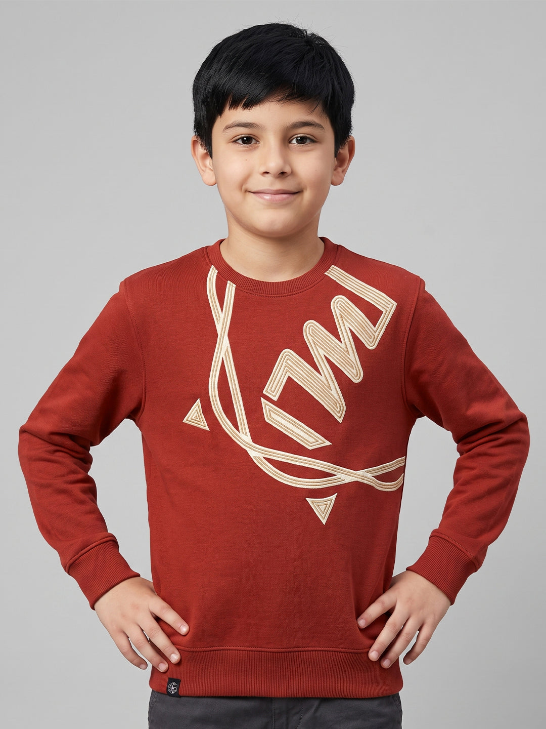 Boys Maroon Printed Round Neck Full Sleeve Sweatshirt