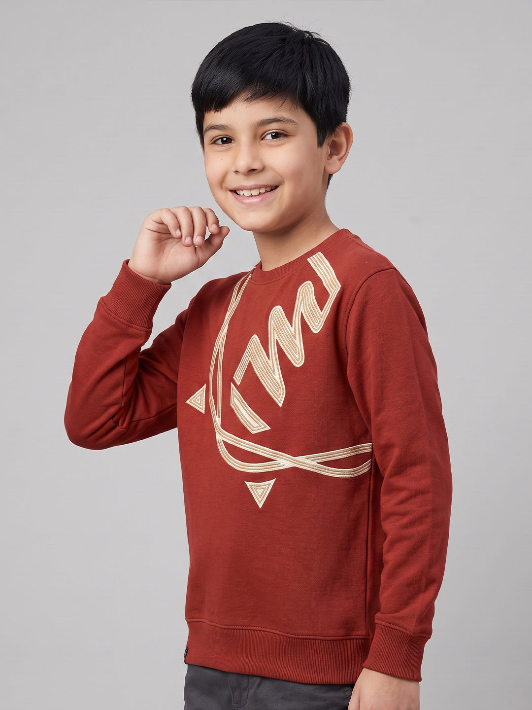Boys Maroon Printed Round Neck Full Sleeve Sweatshirt