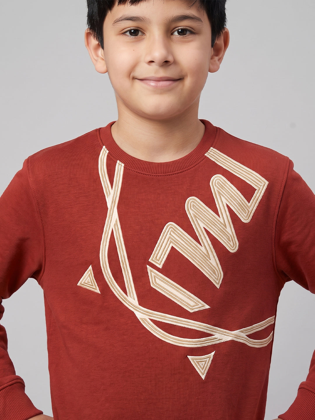 Boys Maroon Printed Round Neck Full Sleeve Sweatshirt
