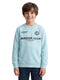 Boys Sky Blue Printed Round Neck Full Sleeve Sweatshirt
