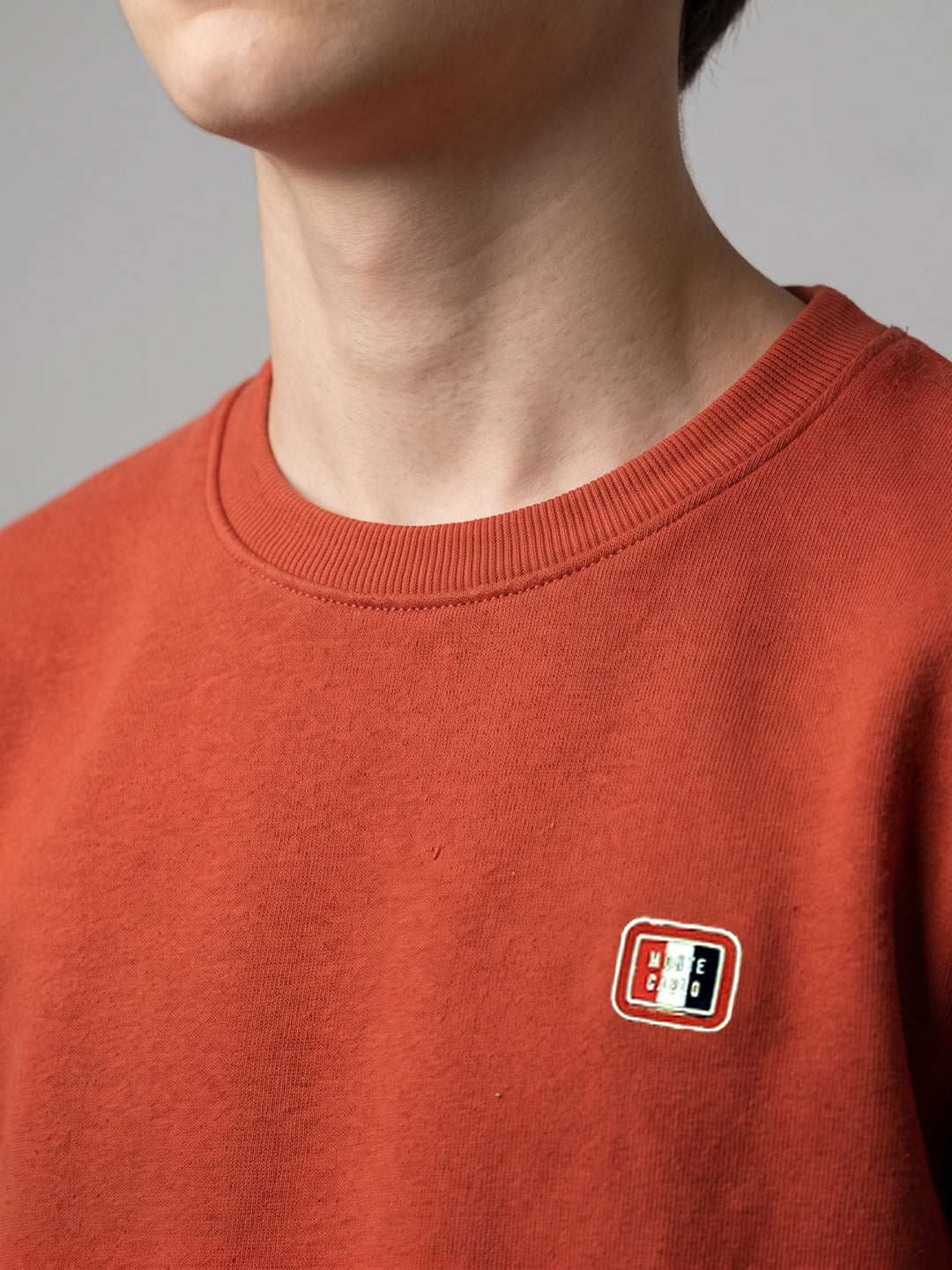 Boys Rust Printed Round Neck Full Sleeve Sweatshirt