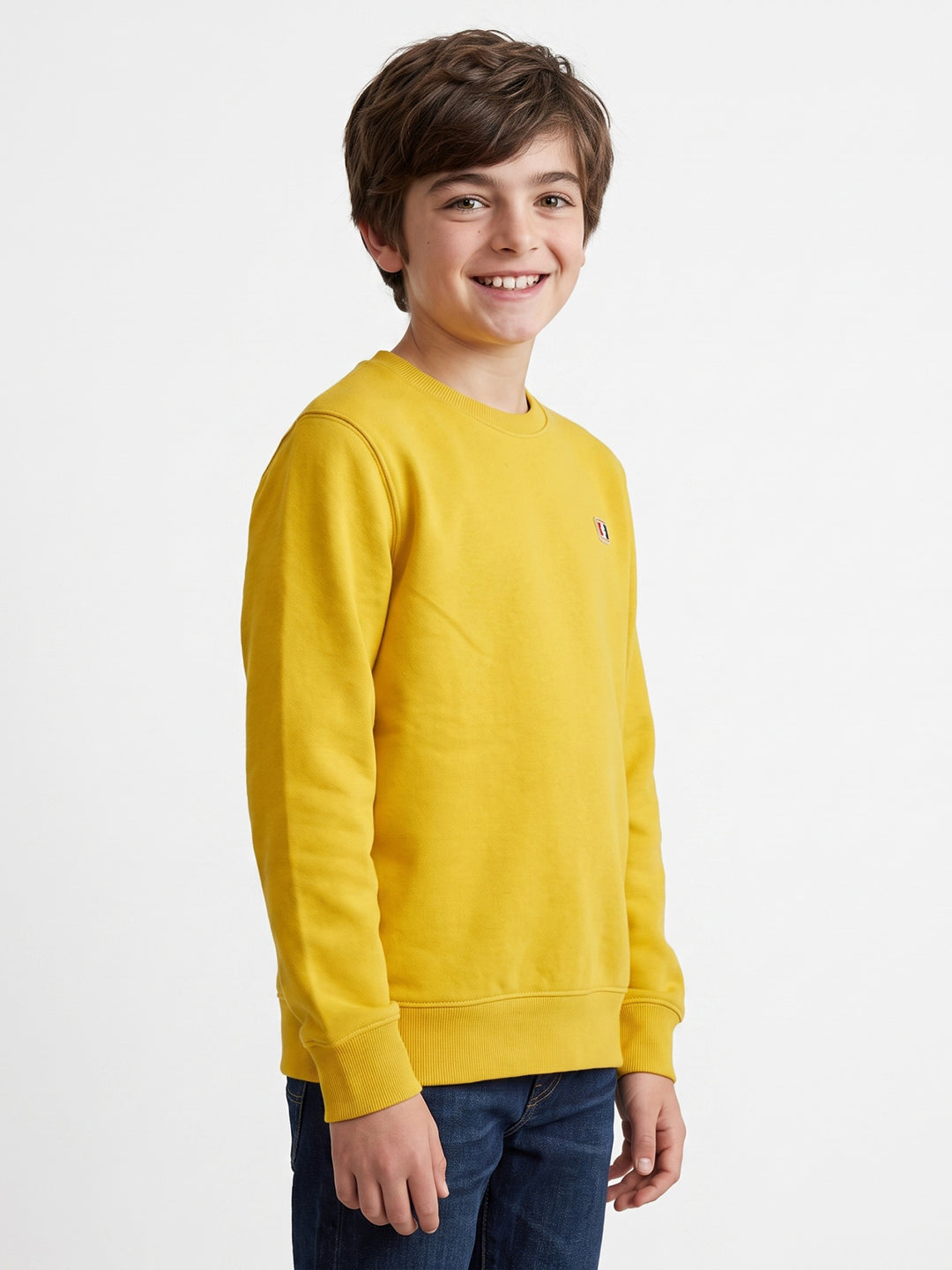 Boys Yellow Printed Round Neck Full Sleeve Sweatshirt