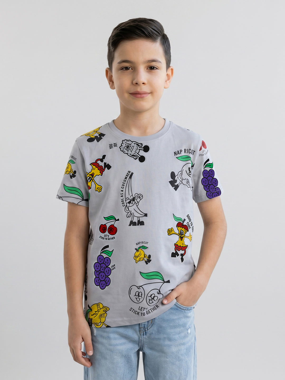 Boys Grey Printed Round Neck Half Sleeve T-Shirt