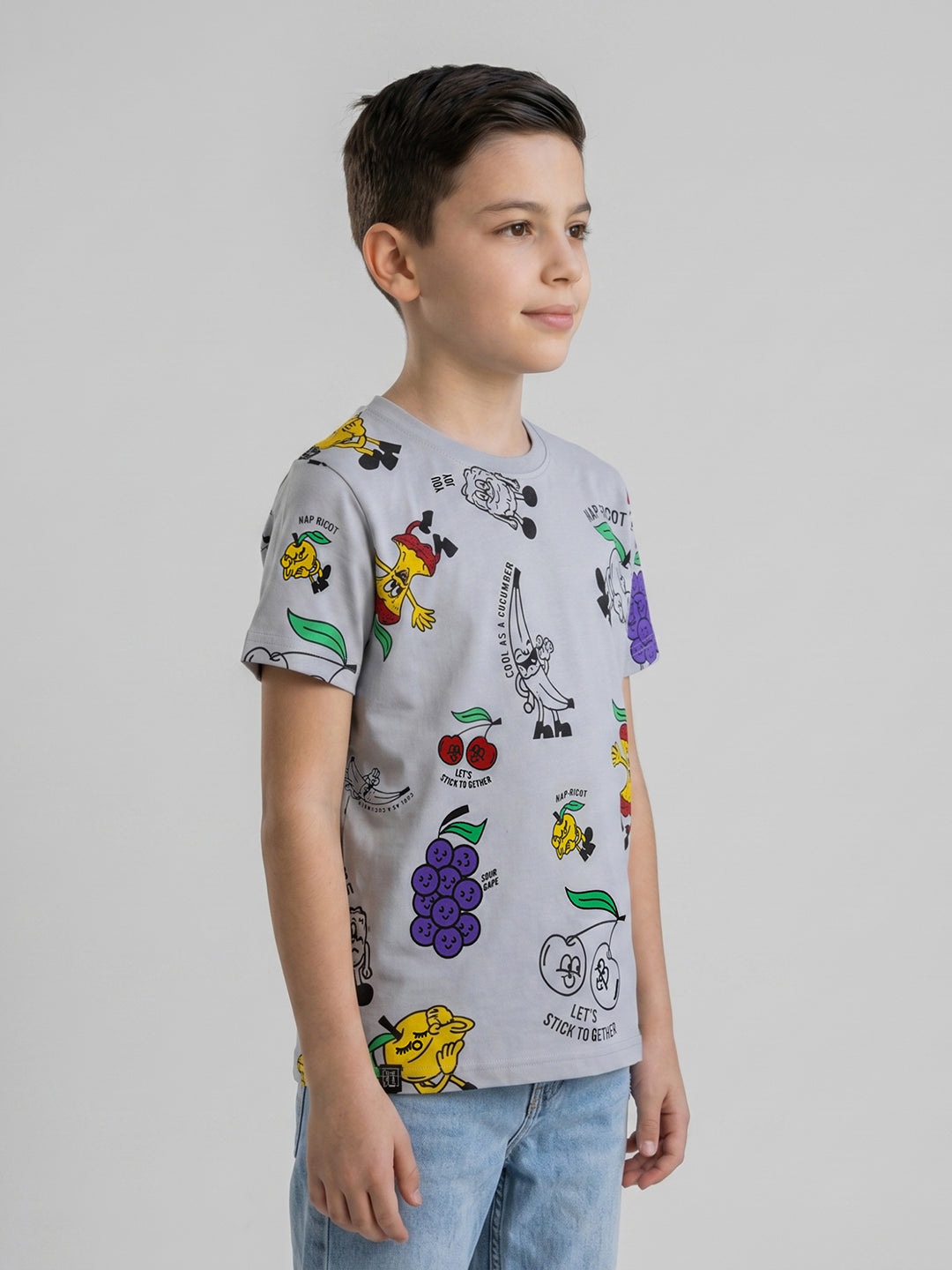 Boys Grey Printed Round Neck Half Sleeve T-Shirt