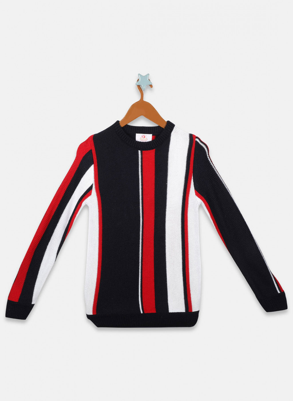 Oswal Multi Color Boys Pullover