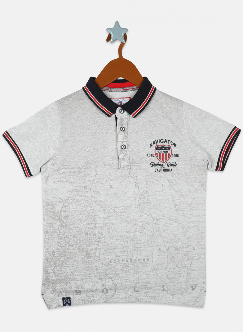 Boys Grey Printed T-Shirts