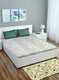 Multi Color 128/68 TC Bedsheet with 2 Pillow Covers