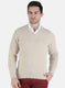 Men Beige Solid Pullover