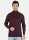 Men Purple Solid Pullover