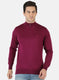 Men Purple Solid Pullover
