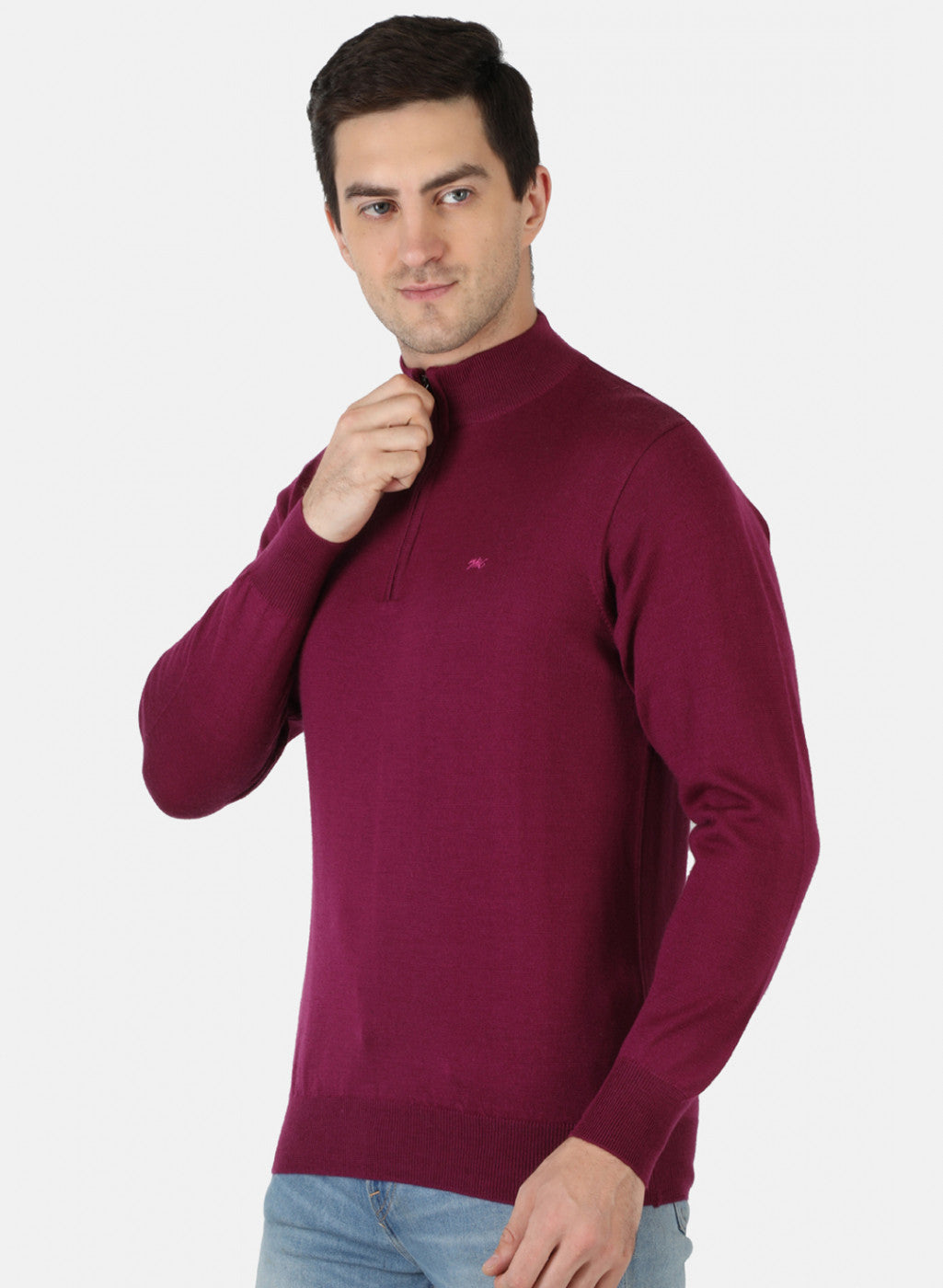 Men Purple Solid Pullover