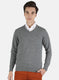 Men Grey Solid Pullover
